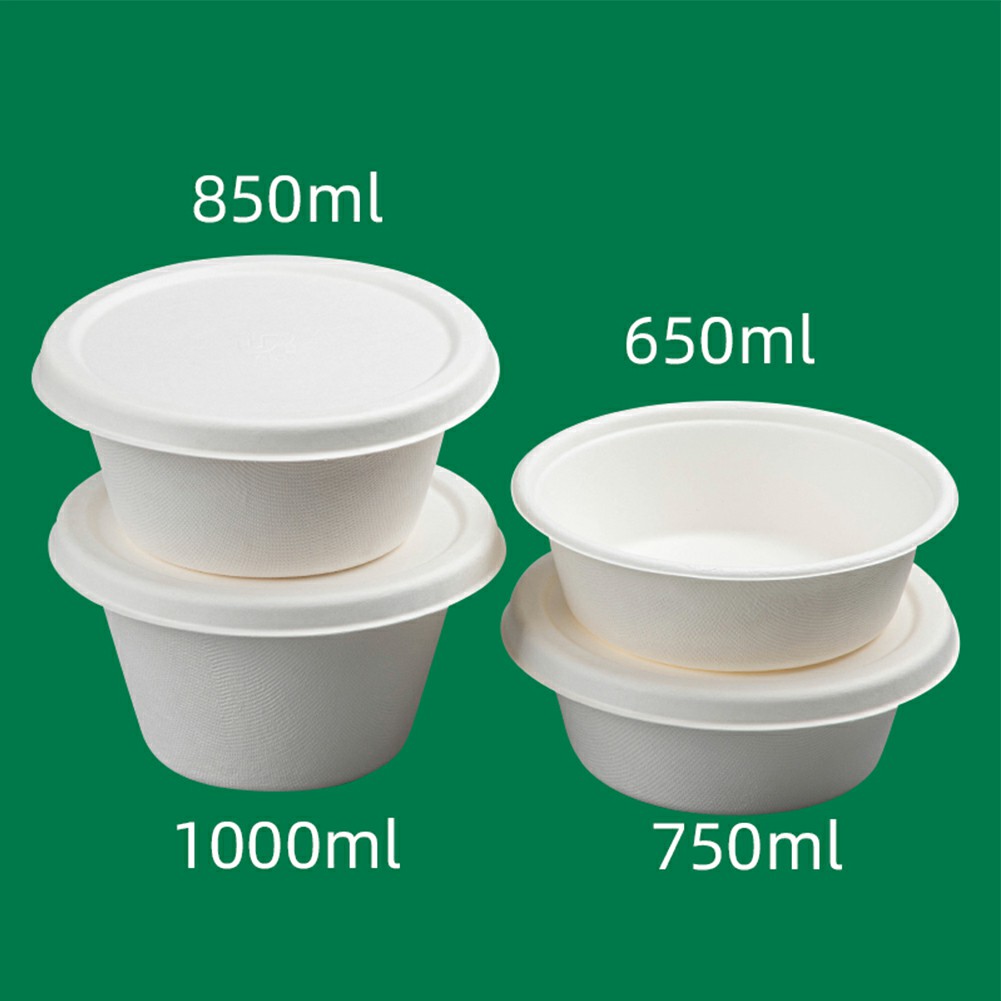 Degradable Eco Friendly Meal Box