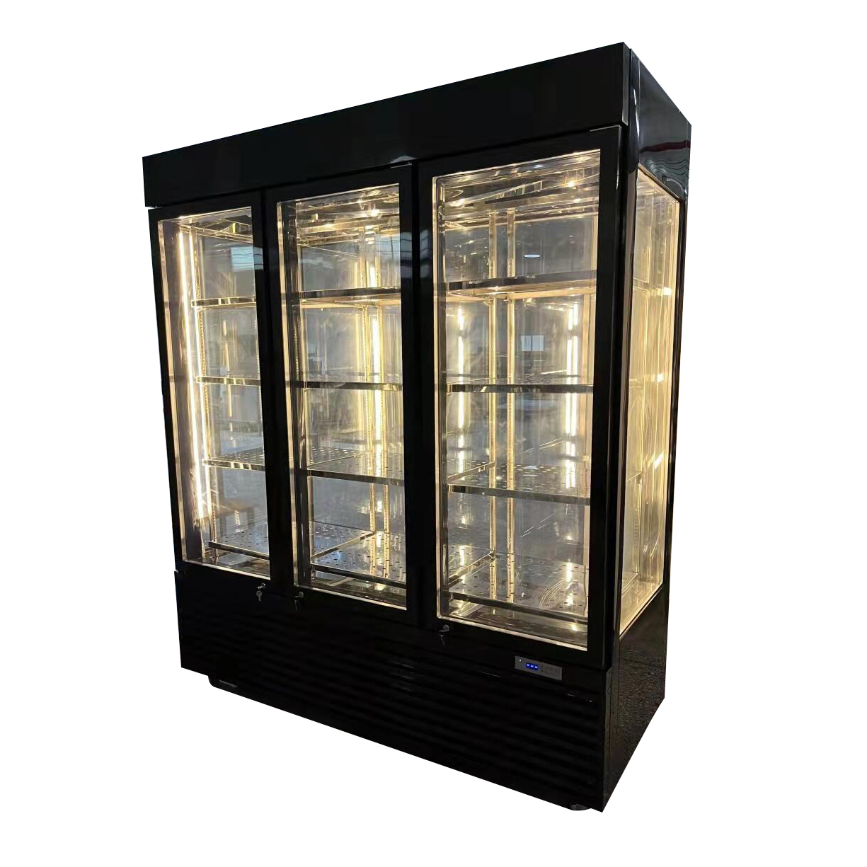Commercial Dry-aged Cooler Refrigerator Freezer Fridge for Meat