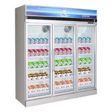 Cheap Price Supermarket Upright Display Freezer