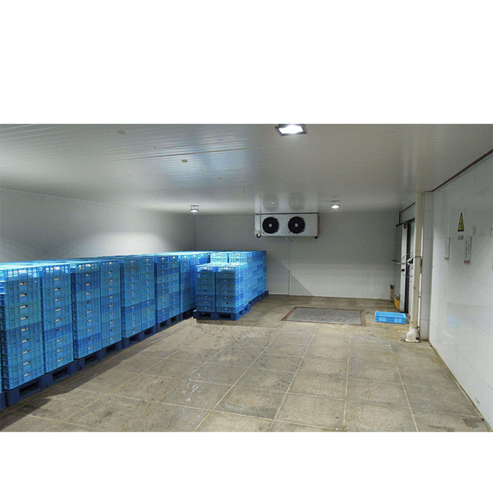 100CBM Cold Room for Fruit And Vegetable